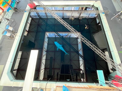 Requin suspendu dans le bassin de tournage